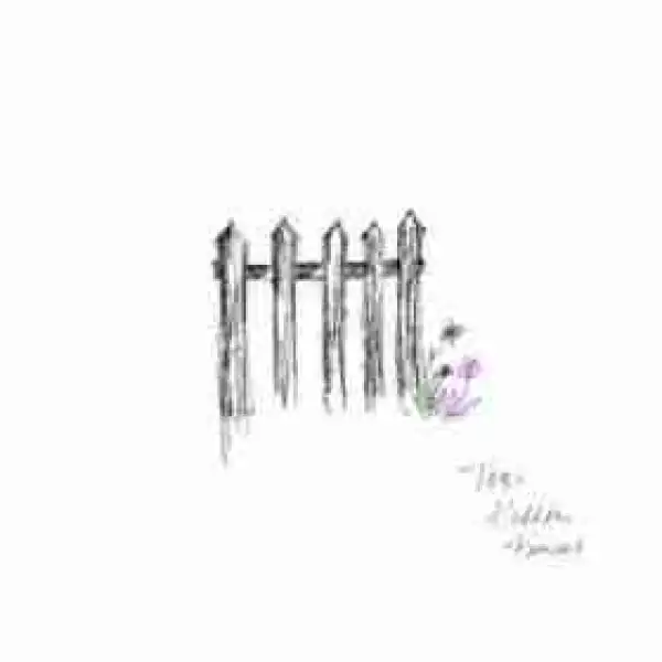 TOBi - Hidden Fences (Demo) (CDQ)
